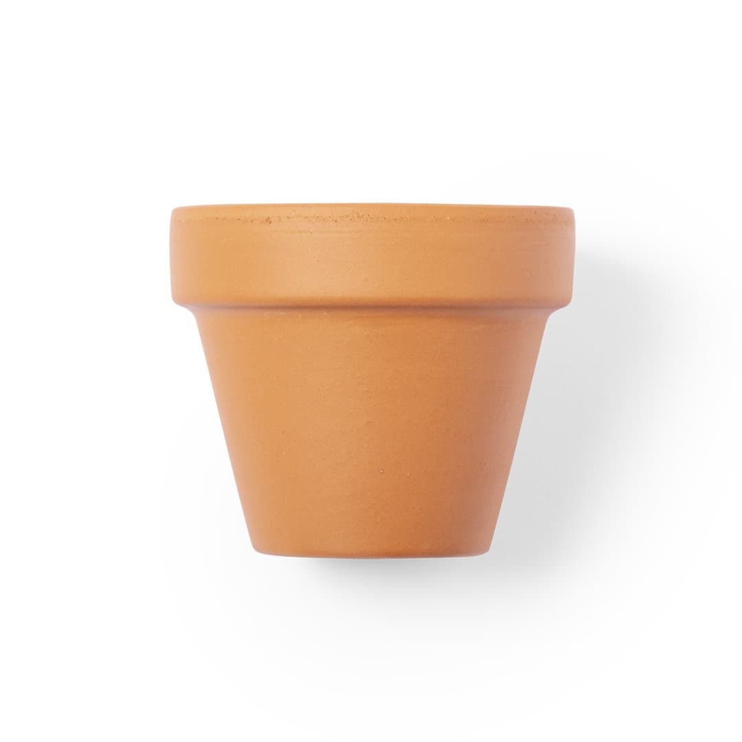 Vaso com flores de Petunia Vaso com flores de Petunia