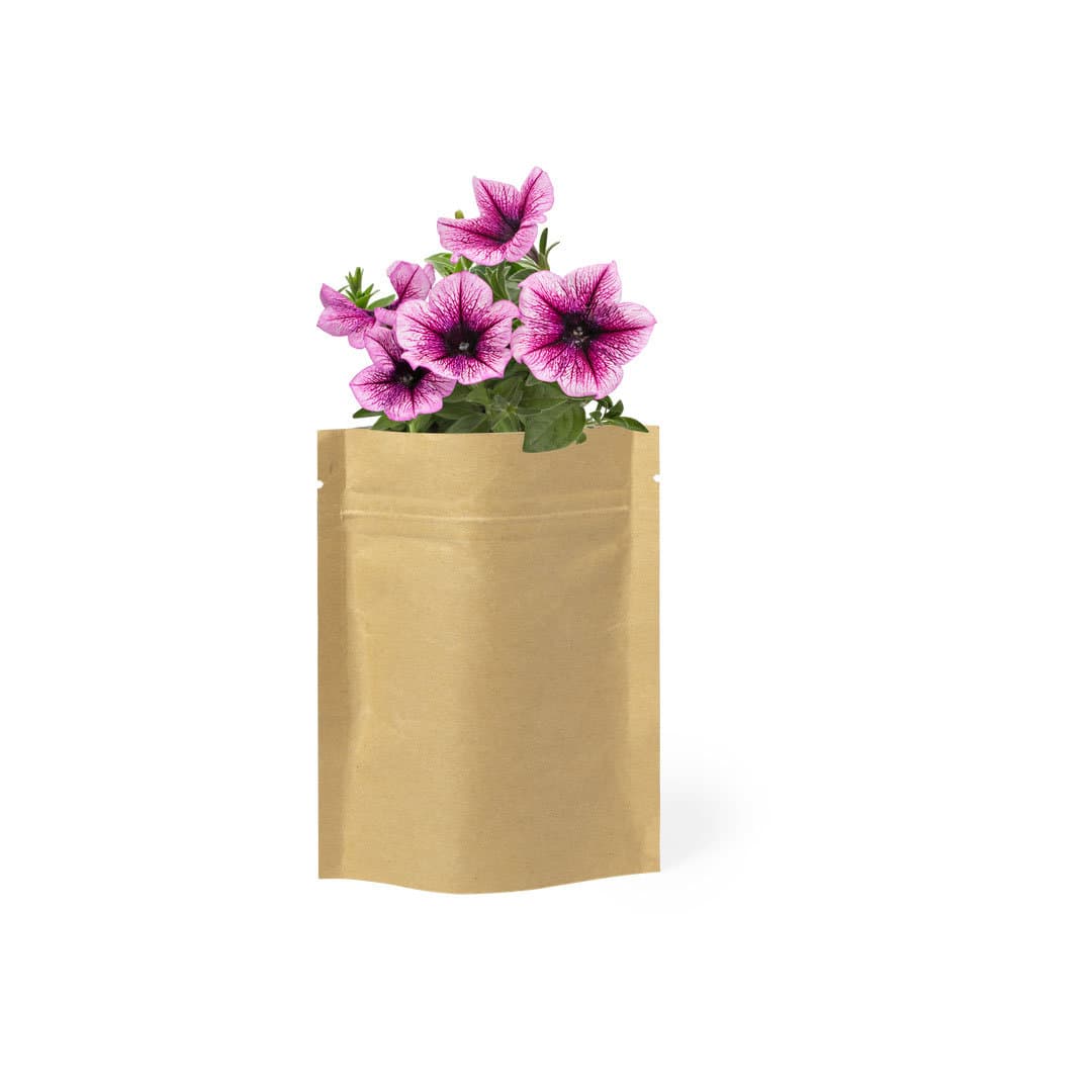 Vaso Envelope Flores Petúnia Vaso Envelope Flores Petúnia