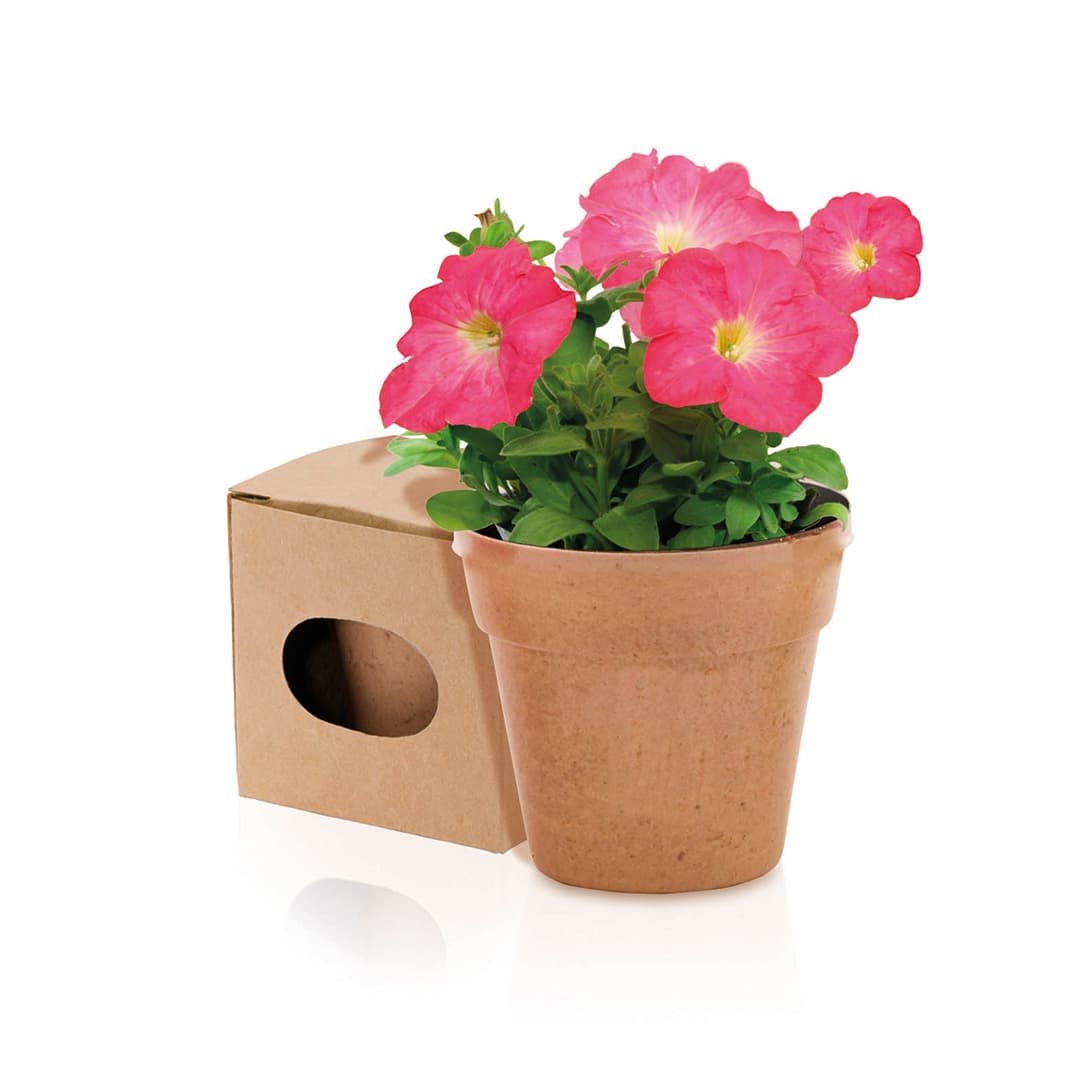 Vaso Biodegradável Vaso Biodegradável